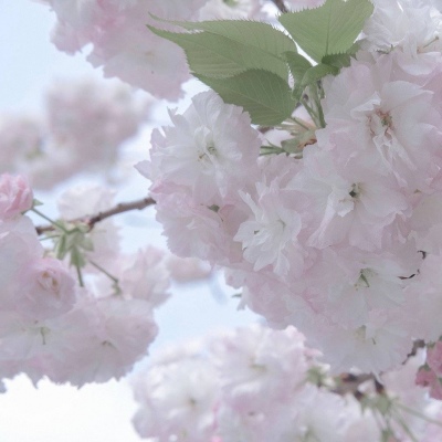 Furry数位绘画技巧兽圈群